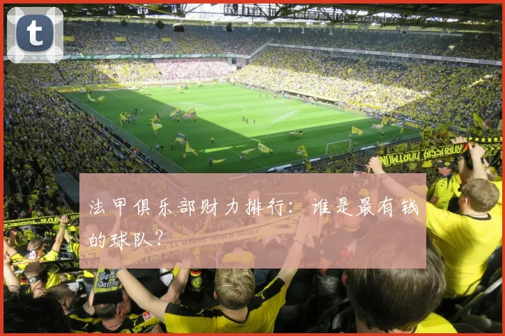 法甲俱乐部财力排行：谁是最有钱的球队？