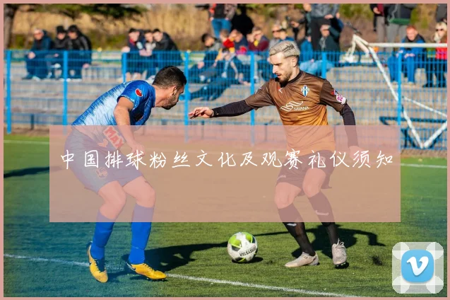 中国排球粉丝文化及观赛礼仪须知